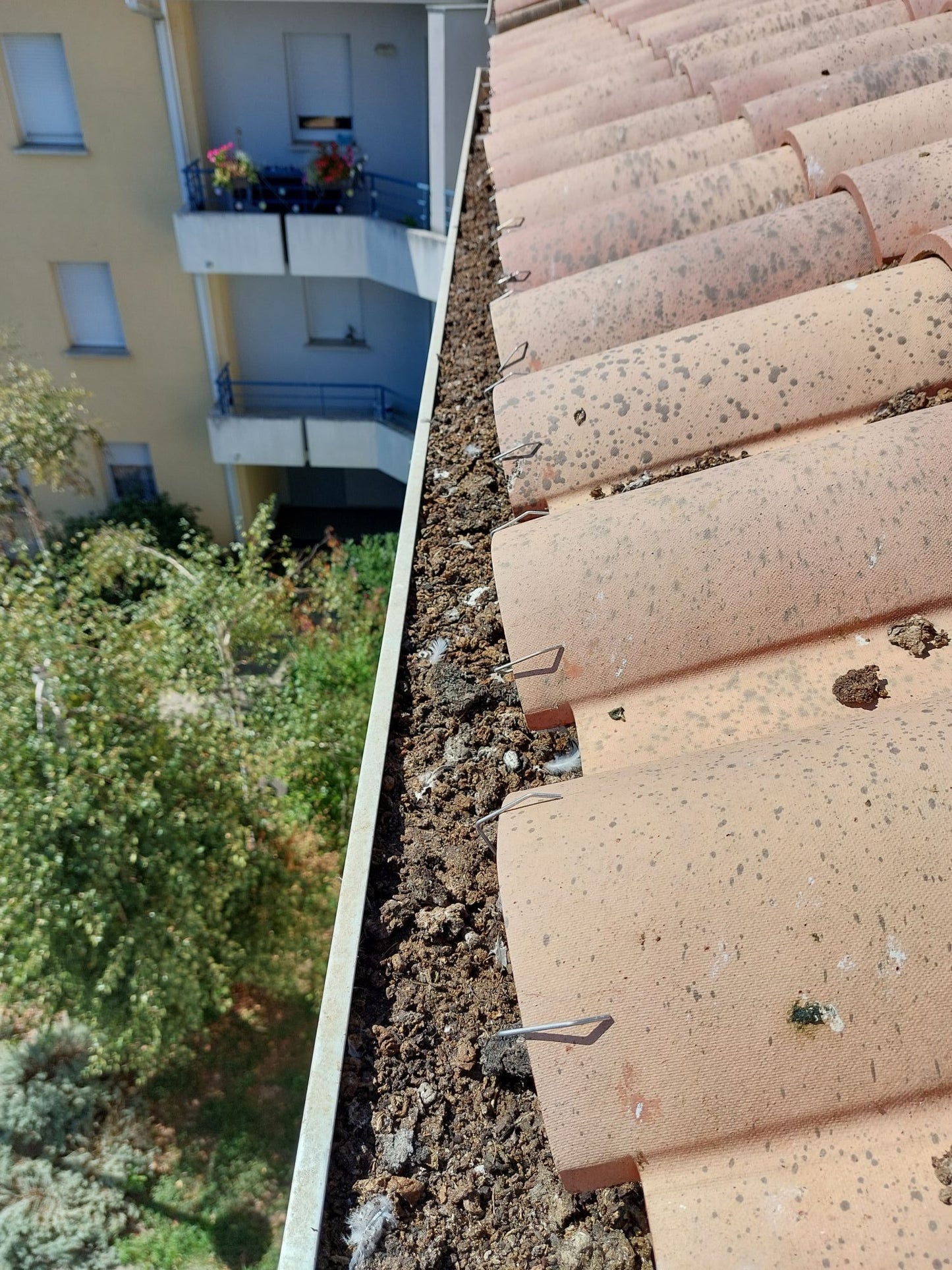 NETTOYAGE DE GOUTTIERE DIFFICILE HAUTEUR ENTRE 4M ET 8M